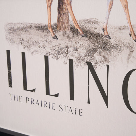 Travel Guide - Illinois by Vintage Collection a Hand Embellished Textured Framed Art Print by Mercana at Eve Furniture
