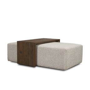 Trayden Gray Fabric w/ Brown Slider Top Coffee Table 55.0X 37.0X 46.0 (cm) by Mercana at Eve Furniture