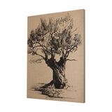 Tree Drawing I by Mercana Studio a Hand Embellished Textured Canvas by Mercana at Eve Furniture