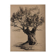 Tree Drawing I by Mercana Studio a Hand Embellished Textured Canvas by Mercana at Eve Furniture