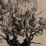 Tree Drawing I by Mercana Studio a Hand Embellished Textured Framed Art Print Matted under Glass by Mercana at Eve Furniture