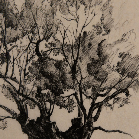 Tree Drawing I by Mercana Studio a Hand Embellished Textured Framed Art Print Matted under Glass by Mercana at Eve Furniture