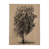 Tree Drawing II by Mercana Studio a Hand Embellished Textured Canvas by Mercana at Eve Furniture