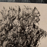 Tree Drawing II by Mercana Studio a Hand Embellished Textured Framed Art Print Matted under Glass by Mercana at Eve Furniture