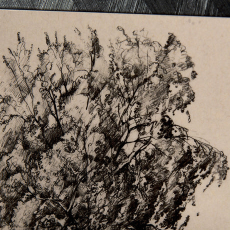 Tree Drawing II by Mercana Studio a Hand Embellished Textured Framed Art Print Matted under Glass by Mercana at Eve Furniture