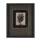 Tree Drawing II by Mercana Studio a Hand Embellished Textured Framed Art Print Matted under Glass by Mercana at Eve Furniture