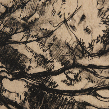 Tree Drawing III by Mercana Studio a Hand Embellished Textured Canvas by Mercana at Eve Furniture