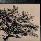 Tree Drawing III by Mercana Studio a Hand Embellished Textured Framed Art Print Matted under Glass by Mercana at Eve Furniture