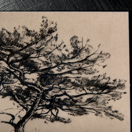 Tree Drawing III by Mercana Studio a Hand Embellished Textured Framed Art Print Matted under Glass by Mercana at Eve Furniture