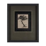 Tree Drawing III by Mercana Studio a Hand Embellished Textured Framed Art Print Matted under Glass by Mercana at Eve Furniture