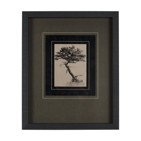 Tree Drawing III by Mercana Studio a Hand Embellished Textured Framed Art Print Matted under Glass by Mercana at Eve Furniture