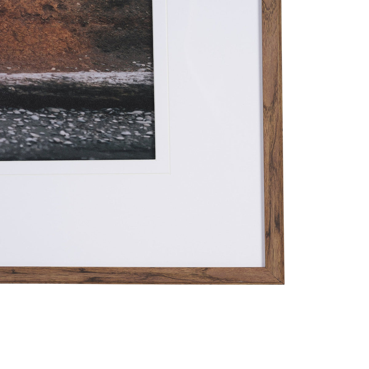 Tree of Life by Stefan and Audrey Textured Framed Photo Print Matted under Glass by Mercana at Eve Furniture