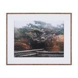 Tree of Life by Stefan and Audrey Textured Framed Photo Print Matted under Glass by Mercana at Eve Furniture