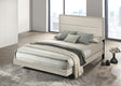 Trenton Rustic Cream 54-inch Wood Full Panel Bed by Coaster at Eve Furniture