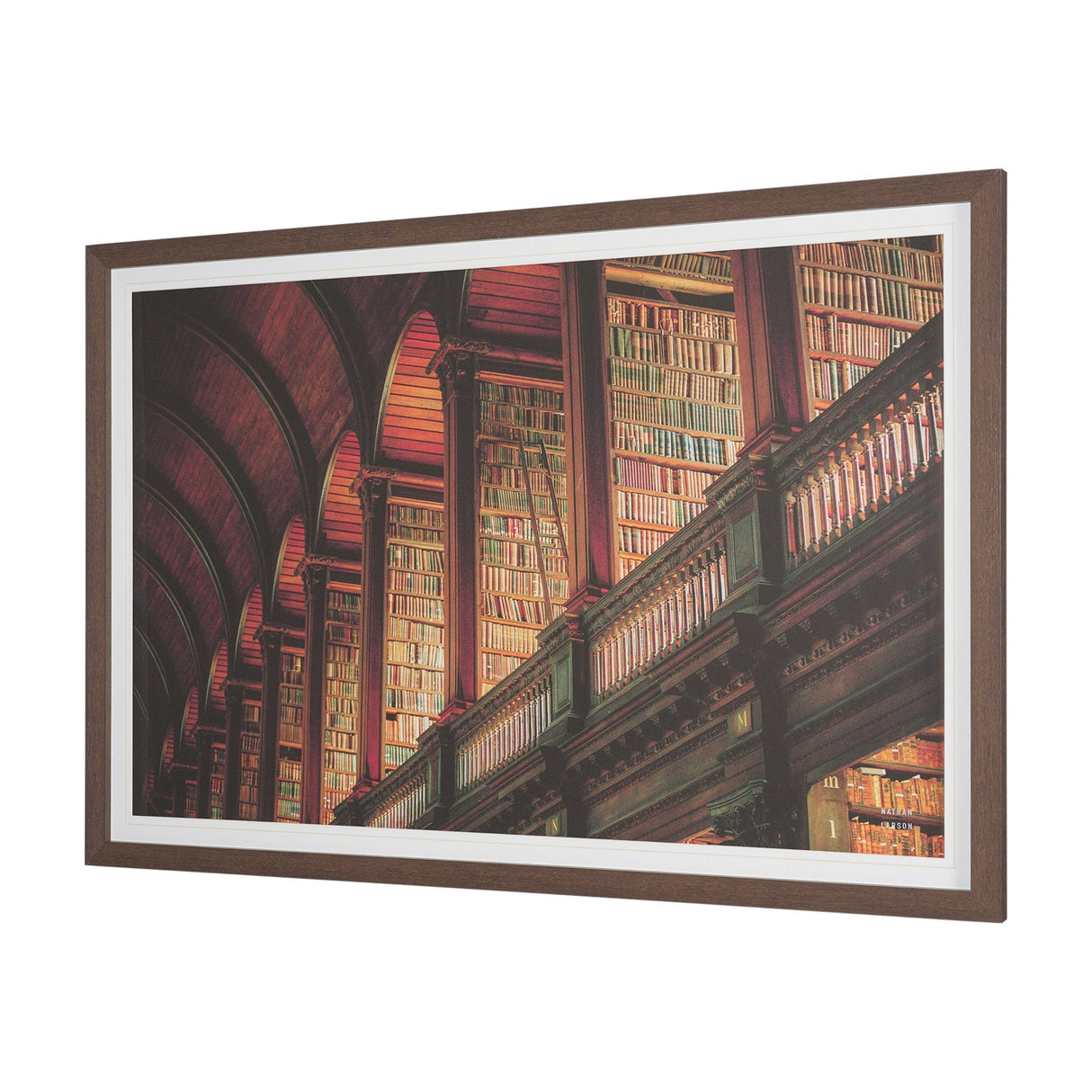 Trinity Library III by Nathan Larson FramedPhoto Print Matted under Glass by Mercana at Eve Furniture