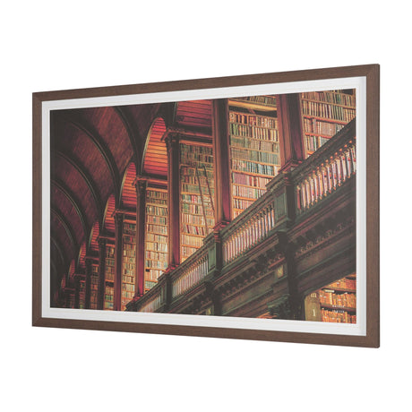 Trinity Library III by Nathan Larson FramedPhoto Print Matted under Glass by Mercana at Eve Furniture