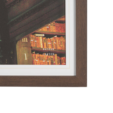 Trinity Library III by Nathan Larson FramedPhoto Print Matted under Glass by Mercana at Eve Furniture