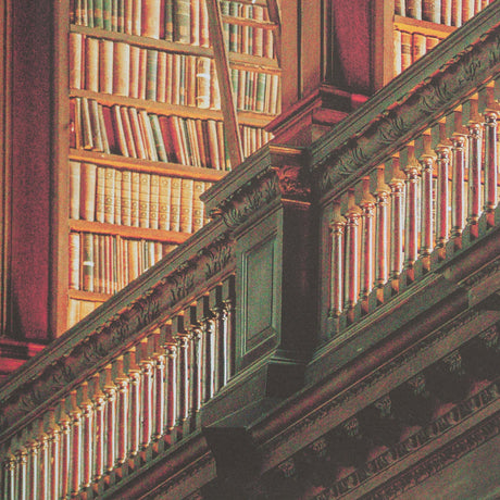 Trinity Library III by Nathan Larson FramedPhoto Print Matted under Glass by Mercana at Eve Furniture