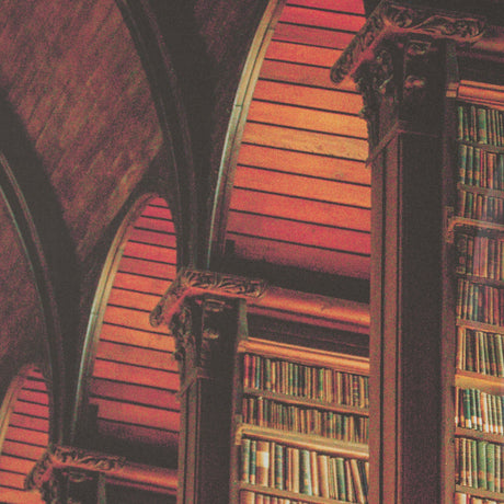 Trinity Library III by Nathan Larson FramedPhoto Print Matted under Glass by Mercana at Eve Furniture
