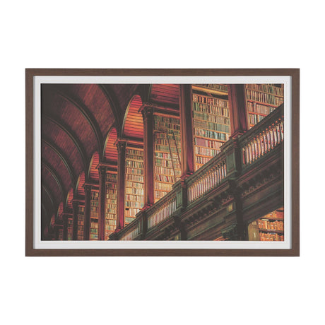 Trinity Library III by Nathan Larson FramedPhoto Print Matted under Glass by Mercana at Eve Furniture