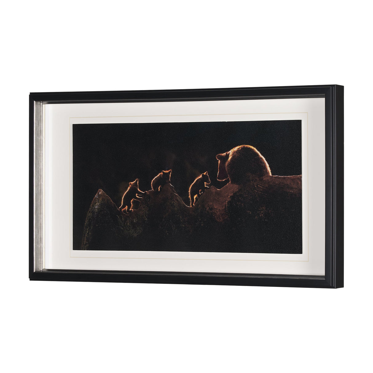 Triplets by Xavier Ortega a Framed Photo Art Print Matted under Glass by Mercana at Eve Furniture