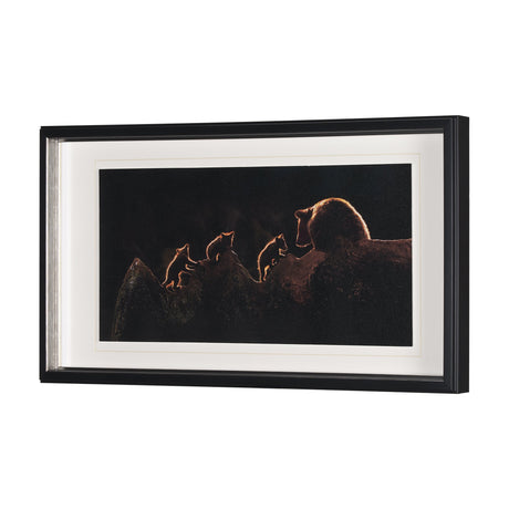 Triplets by Xavier Ortega a Framed Photo Art Print Matted under Glass by Mercana at Eve Furniture