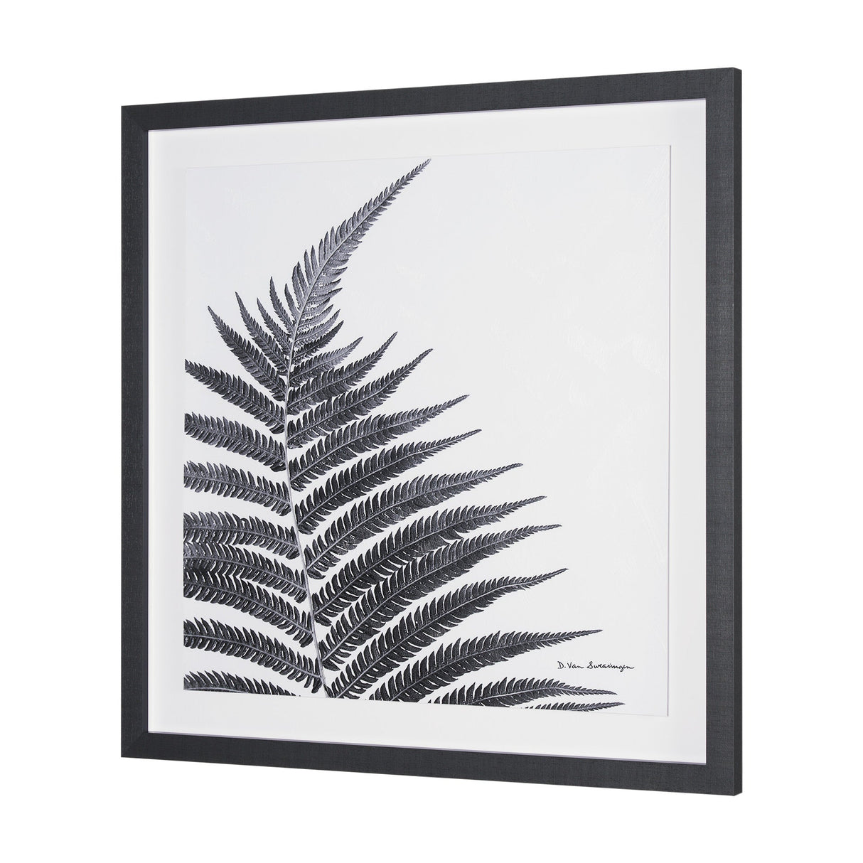 Truth by Debra Van Swearingen a Hand Embellished Framed Photo Art Print Matted under Glass by Mercana at Eve Furniture