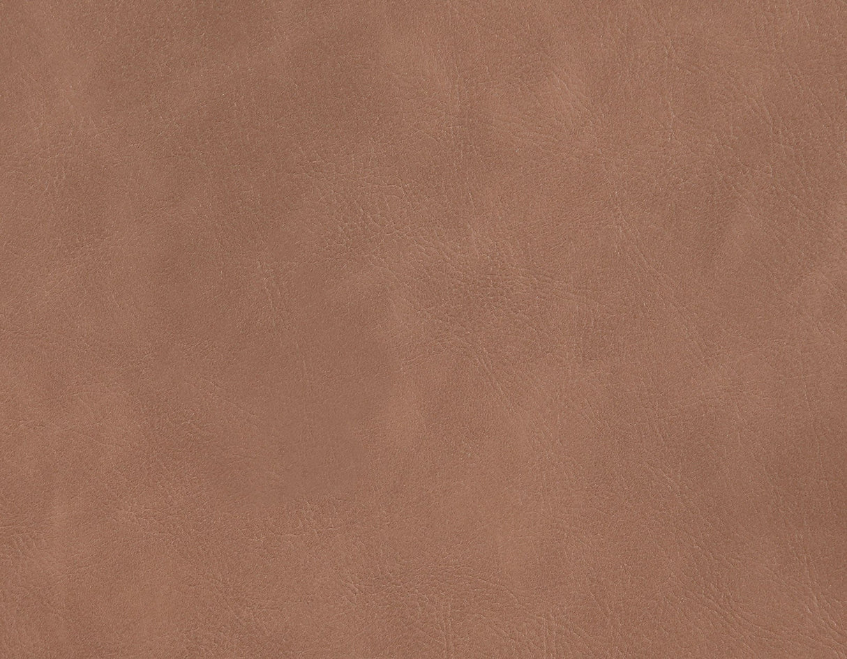 Tucson Brown Side Chair, Set of 2 by Steve Silver at Eve Furniture