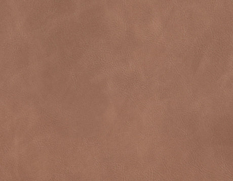 Tucson Brown Side Chair, Set of 2 by Steve Silver at Eve Furniture