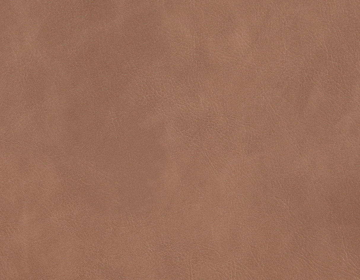 Tucson Brown Side Chair, Set of 2 by Steve Silver at Eve Furniture