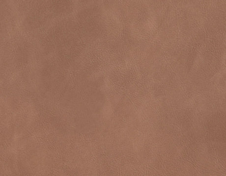Tucson Brown Side Chair, Set of 2 by Steve Silver at Eve Furniture