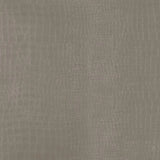 Turner Champagne Upholstery Sloped Arm Accent Swivel Chair by Coaster at Eve Furniture