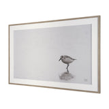 Tybee Island Sanderling by Nathan Larson a Hand Embellished Framed Photo Print under Glass by Mercana at Eve Furniture
