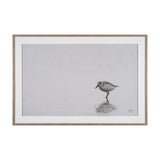 Tybee Island Sanderling by Nathan Larson a Hand Embellished Framed Photo Print under Glass by Mercana at Eve Furniture
