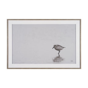 Tybee Island Sanderling by Nathan Larson a Hand Embellished Framed Photo Print under Glass by Mercana at Eve Furniture