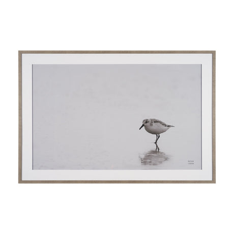 Tybee Island Sanderling by Nathan Larson a Hand Embellished Framed Photo Print under Glass by Mercana at Eve Furniture
