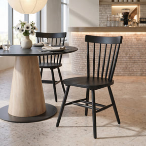 Tyce Black Dining Chair (Set of 2) by Zuomod at Eve Furniture