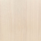 Tyce Natural Dining Chair (Set of 2) by Zuomod at Eve Furniture