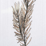 Unknown by Marie a Hand Embellished Textured Framed Art Print Matted under Glass by Mercana at Eve Furniture