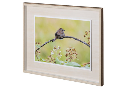 untitled by Nancy Crowell a Framed Photo Art Print Matted under Glass by Mercana at Eve Furniture