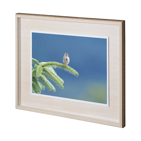 untitled by Nancy Crowell a Framed Photo Art Print Matted under Glass by Mercana at Eve Furniture