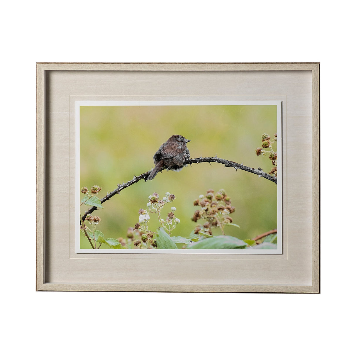untitled by Nancy Crowell a Framed Photo Art Print Matted under Glass by Mercana at Eve Furniture