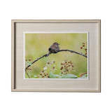 untitled by Nancy Crowell a Framed Photo Art Print Matted under Glass by Mercana at Eve Furniture