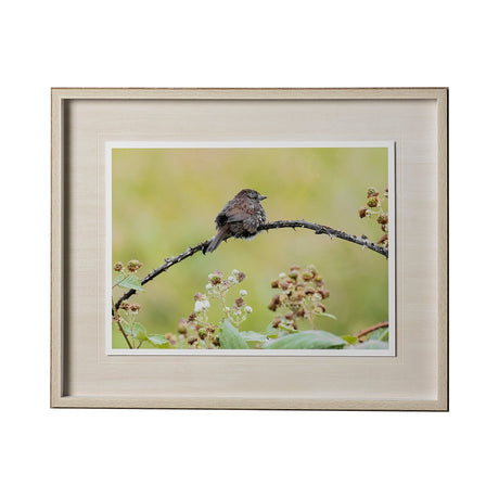 untitled by Nancy Crowell a Framed Photo Art Print Matted under Glass by Mercana at Eve Furniture