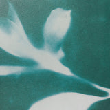 Untitled II by Liz St. Andre Textured Framed Artwork Matted under Glass by Mercana at Eve Furniture