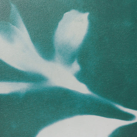 Untitled II by Liz St. Andre Textured Framed Artwork Matted under Glass by Mercana at Eve Furniture