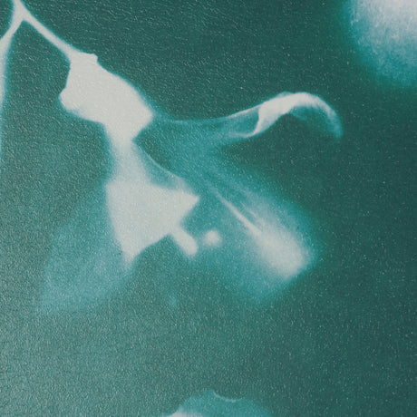 Untitled II by Liz St. Andre Textured Framed Artwork Matted under Glass by Mercana at Eve Furniture