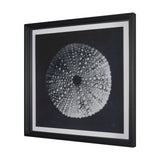 Urchin Still Life I by Nathan Larson a Hand Embellished Framed Photo Art Print Matted under Glass by Mercana at Eve Furniture
