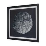 Urchin Still Life II by Nathan Larson a Hand Embellished Framed Photo Art Print Matted under Glass by Mercana at Eve Furniture