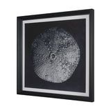 Urchin Still Life III by Nathan Larson a Hand Embellished Framed Photo Art Print Matted under Glass by Mercana at Eve Furniture